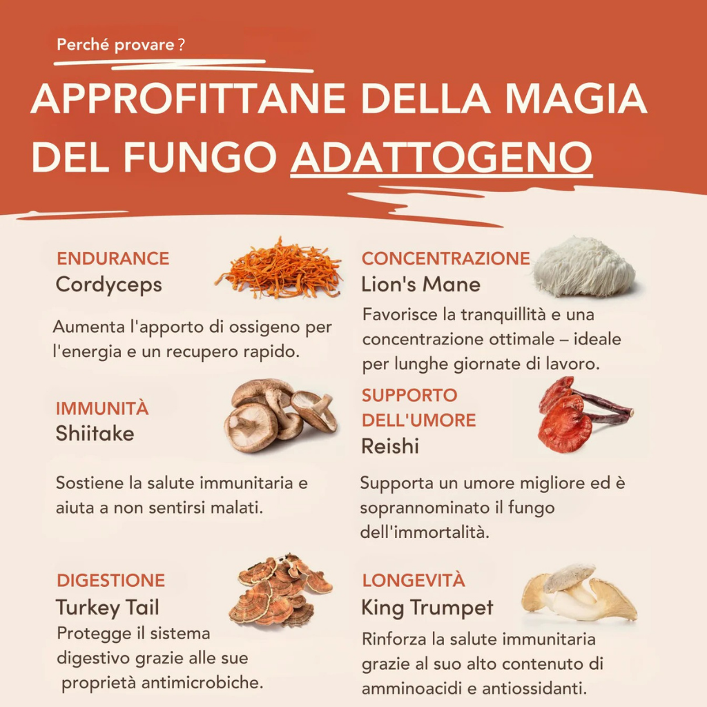 MYKO™ Caffè ai Funghi