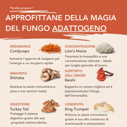 MYKO™ Caffè ai Funghi